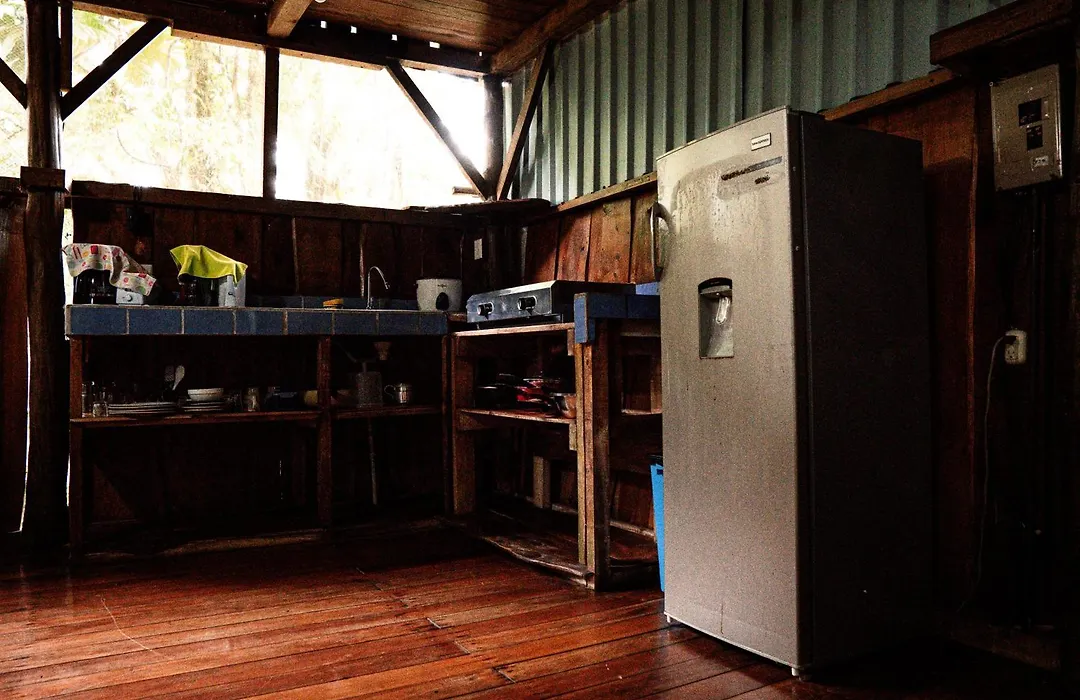 Flutterby House Hostel-1