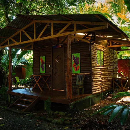 Flutterby House Hostel-2